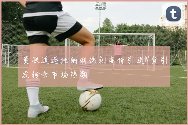 曼联追逐托纳利热刺高价引进M费引发转会市场热潮
