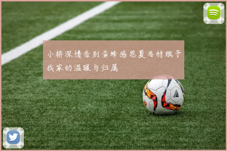 小桥深情告别黄蜂感恩夏洛特赋予我家的温暖与归属